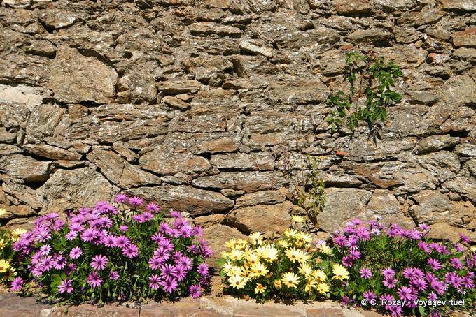 Blume Grenze auf alten Mauer Gassin, Provence, Frankreich