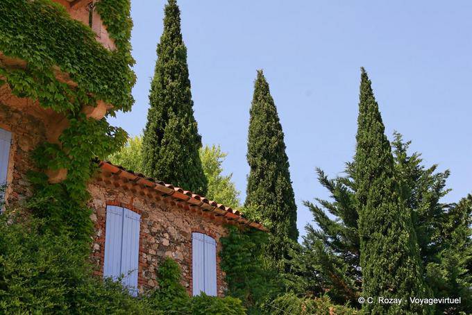 Grimaud, Zypressen und alten Steinen, Provence, Frankreich