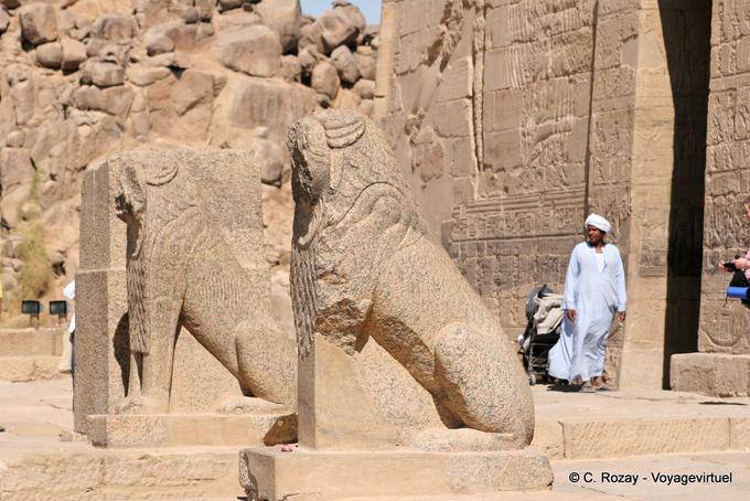 Löwen bewacht den Tempel der Isis, Philae-Tempel - Aegypten