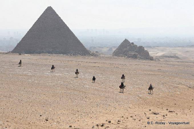 Kamel in der Wüste der Nekropole von Gizeh - Aegypten
