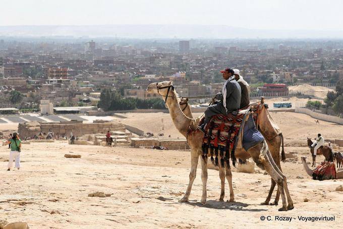 Kamel vor einem Panorama von Kairo - Aegypten