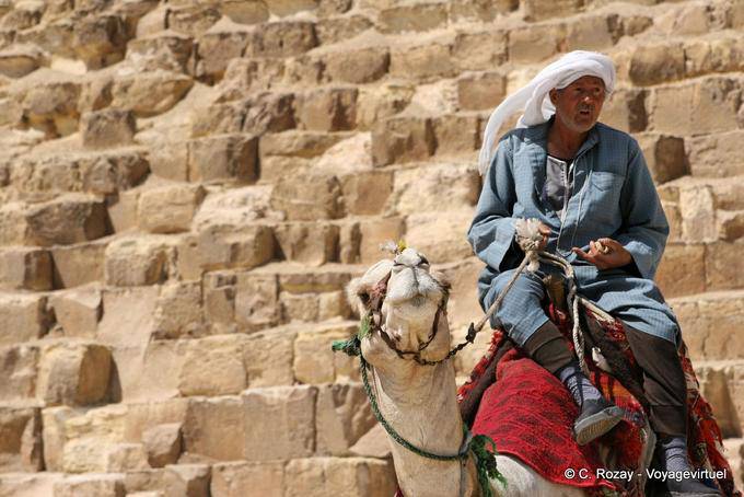 Kamel vor den Blöcken der Cheops-Pyramide - Aegypten