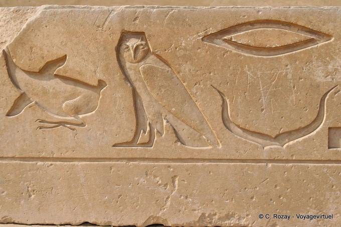 Gans Eule Linderung von Saqqarah - Aegypten