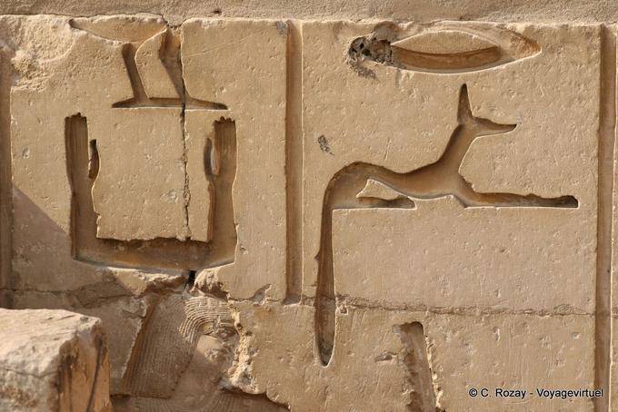 Reliefs an der Wand der Grabanlage, Sakkara - Aegypten