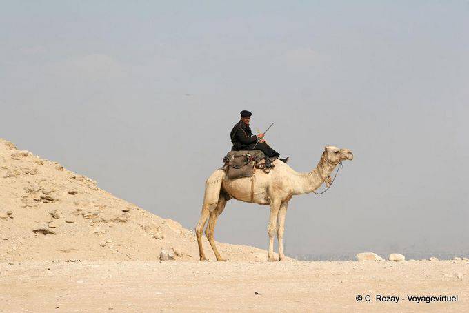 Kamel Polizei, Sakkara - Aegypten