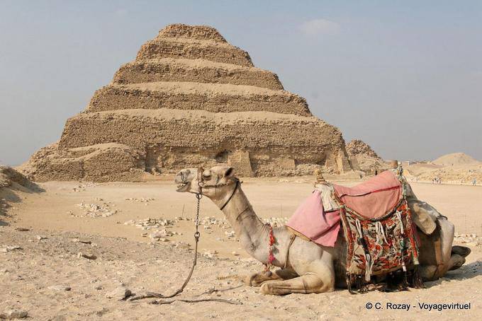 Camel am Fuß der Pyramide, Sakkara - Aegypten
