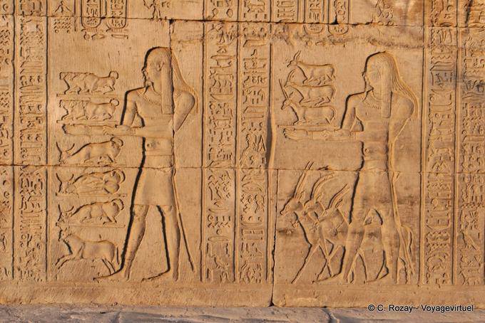 Gazelles Darstellung und Vieh angeboten, Kom Ombo Tempel - Aegypten