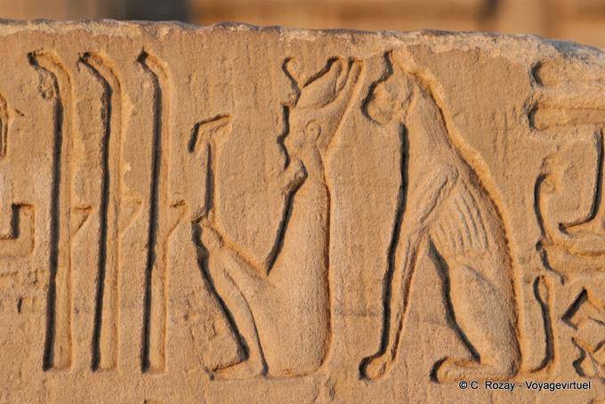 Stelzen und Gott Bastet Katze sitzt hinter dem König, Erleichterung, Tempel von Kom Ombo - Aegypten
