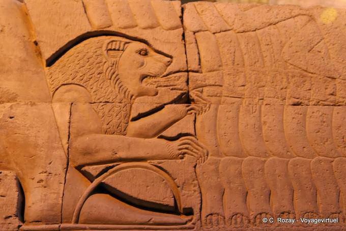 Der Löwe, Detail einer Skulptur, Tempel von Kom Ombo - Aegypten