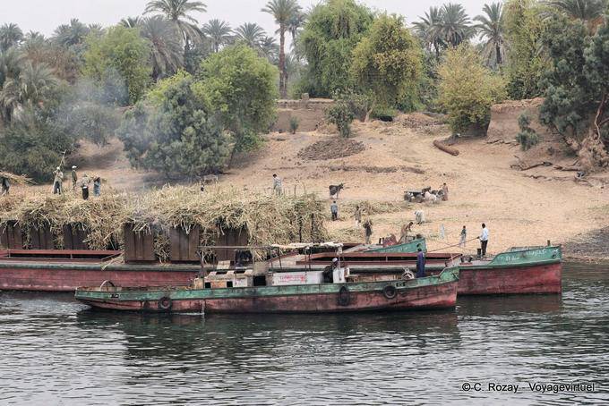 Loading Kulturen auf Lastkähnen, Ufern des Nils in der Nähe von Luxor - Aegypten
