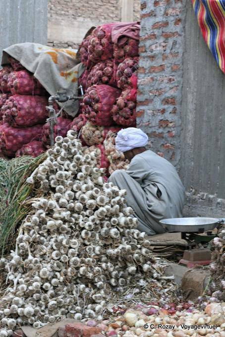 Fülle von Knoblauch zu verbreiten, Luxor - Aegypten