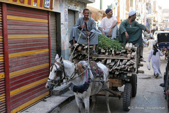 Truck Holzhändler, Luxor - Aegypten