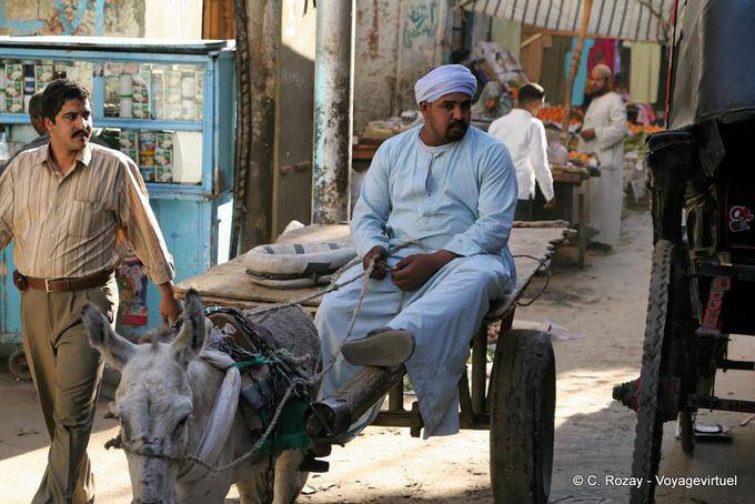 Harun el Poussah auf seinem Wagen, Luxor - Aegypten