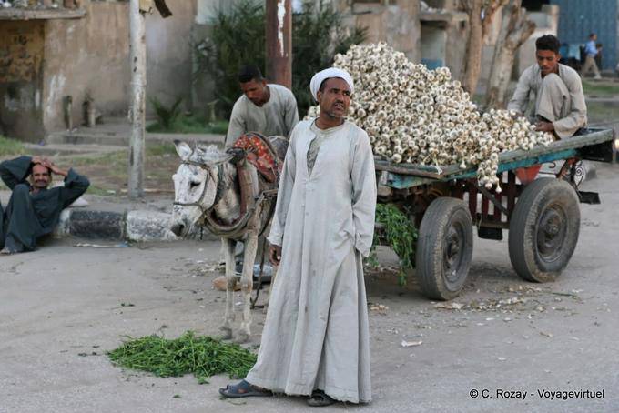 Marchand Knoblauch, Luxor - Aegypten