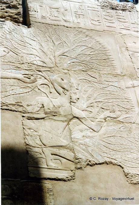 Thoth schrieb den Namen des Seti die ersten Früchte des Baums-iched, Karnak-Tempel - Aegypten