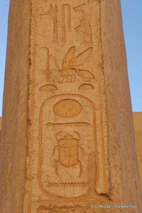 Käfer in einer Kartusche, Hatschepsut-Tempel - Aegypten
