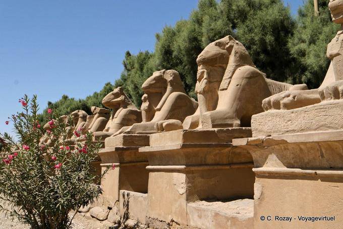 Ram-headed Sphingen Bahn am Eingang zum Karnak-Website - Aegypten