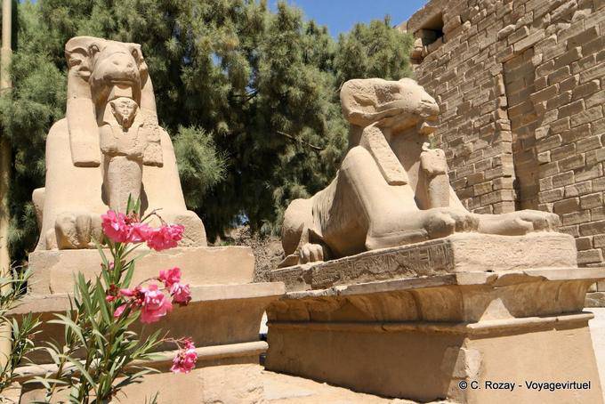 Zwei Sphynx der Gang mit dem Tempel des Amun-Re, Karnak - Aegypten