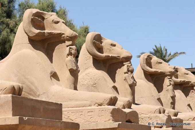 Ram-headed Sphingen, widderköpfigen Gottheiten des ägyptischen Pantheons, Tempel von Karnak - Aegypten
