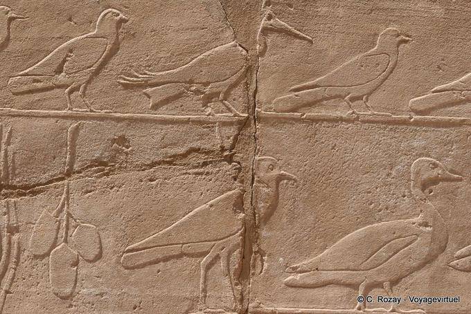 Parade der verschiedenen Vögel, Erleichterung, Karnak-Tempel - Aegypten