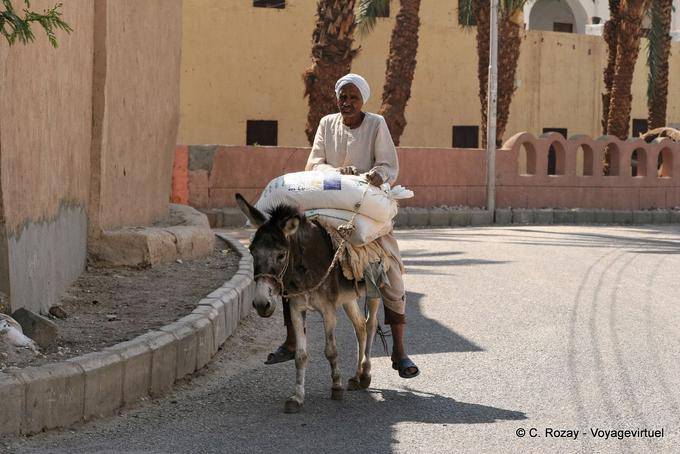 Mann auf einem Esel mit seiner Ladung, Straßen Medinet Habu - Aegypten