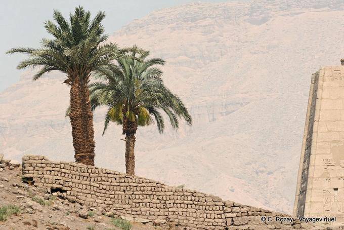 Palmen hinter einer alten Mauer, Medinet Habu - Aegypten