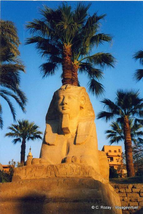 Sphinx Kopf von König Nectanebo, Luxor-Tempel - Aegypten