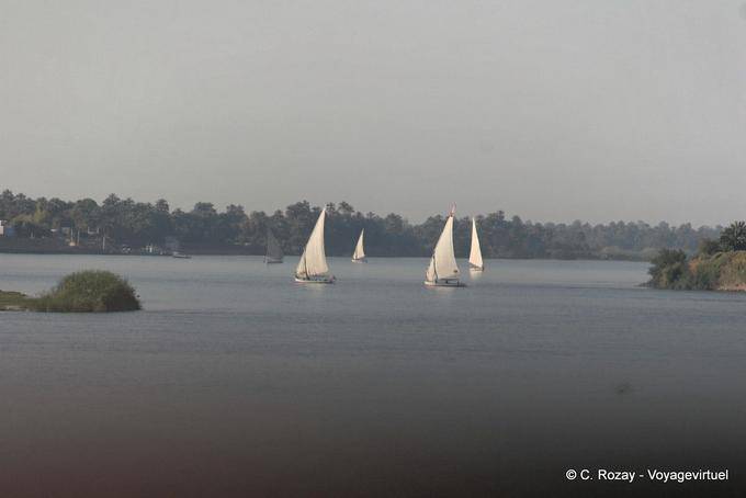 Regatta feluccas auf dem Nil - Aegypten