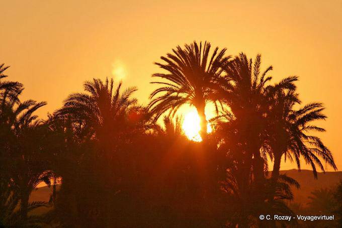 Sonnenuntergang hinter den Palmen - Aegypten