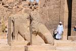 Löwen bewacht den Tempel der Isis, Philae-Tempel, Ägypten.