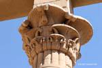 Detail Kapital einer Säule, Tempel von Philae, Ägypten.