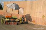 Kleine Obstmarkt am Rande der Straße, Saqqara, Kairo, Ägypten.