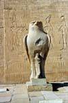 Statue des Horus der Falke-Gott vor einem Pylon, Edfu Tempel, Ägypten.