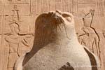 Statue des Gottes Horus Falknerei (Nahaufnahme), in den Tempel, Edfu, Ägypten.