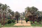 Land bebautes Feld um Esna, Ägypten.