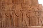 Horus mit der Hieroglyphe des Sed Festival Ptolemäus VI, Tempel von Kom Ombo, Ägypten.