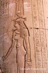 Navel und Queen-Kappe auf einer Säule des Säulenhalle, Tempel von Kom Ombo, Ägypten.