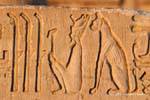 Stelzen und Gott Bastet Katze sitzt hinter dem König, Erleichterung, Tempel von Kom Ombo, Ägypten.
