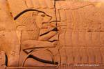 Der Löwe, Detail einer Skulptur, Tempel von Kom Ombo, Ägypten.