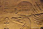 Sobek, der Krokodil, Gott, Erleichterung, Tempel von Kom Ombo, Ägypten.
