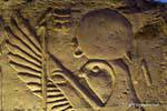 Abbildung Horus Ra, Relief von Kom Ombo-Tempel, Ägypten.