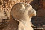 Hawk Profil Horus, Tempel der Hatschepsut, Ägypten.