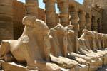 Row von Sphinx Bubastites Portikus des ersten Hofes, Karnak-Tempel, Ägypten.