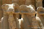 Pharao hält das Ankh-Zeichen zwischen den Beinen des ram Löwenkörper, den Tempel von Karnak, Ägypten.