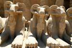 Lion Pfoten der Sphinx rammt in den Pharao, Karnak-Tempel, Ägypten.