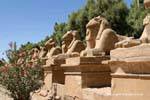 Ram-headed Sphingen Bahn am Eingang zum Karnak-Website, Ägypten.
