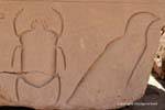 Käfer und Vogel, Einbauhilfe, Karnak-Tempel, Ägypten.