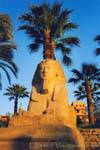 Sphinx Kopf von König Nectanebo, Luxor-Tempel, Ägypten.