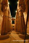 Die Wallfahrtskirche der Rinde des Amun, Luxor-Tempel, Ägypten.