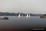 Regatta feluccas auf dem Nil, Ägypten.